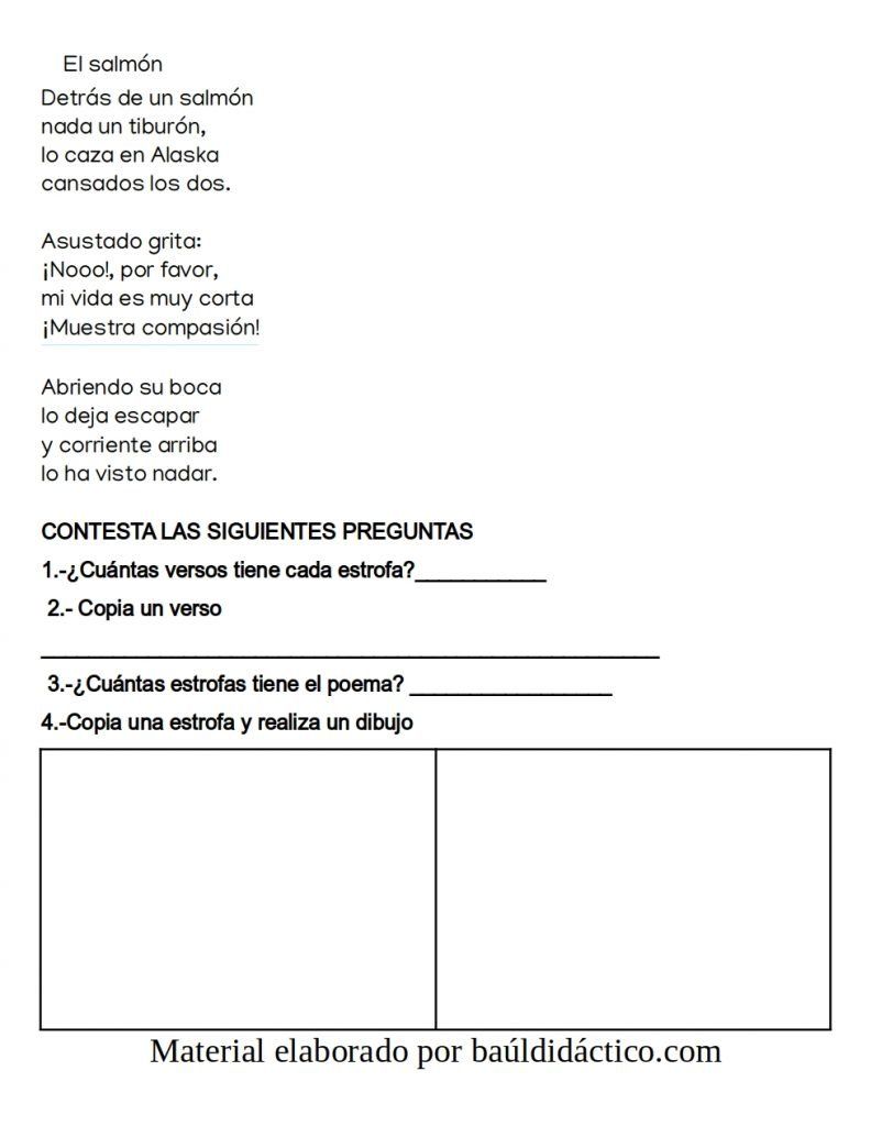 actividad didáctica