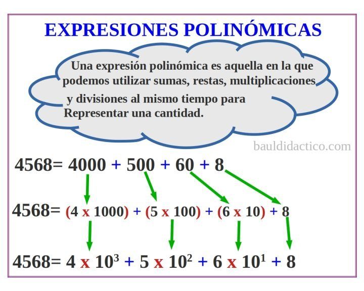 Expresiones polinómicas