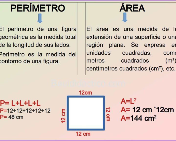Área y perímetro