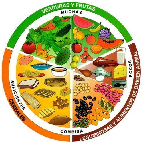 Plato del bien comer