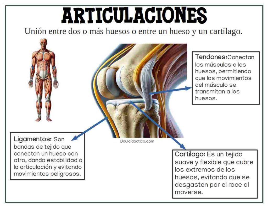 Planeación 3° ¿Qué hace que me mueva?