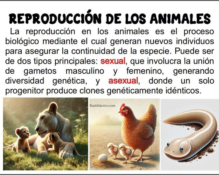 Reproducción de los animales