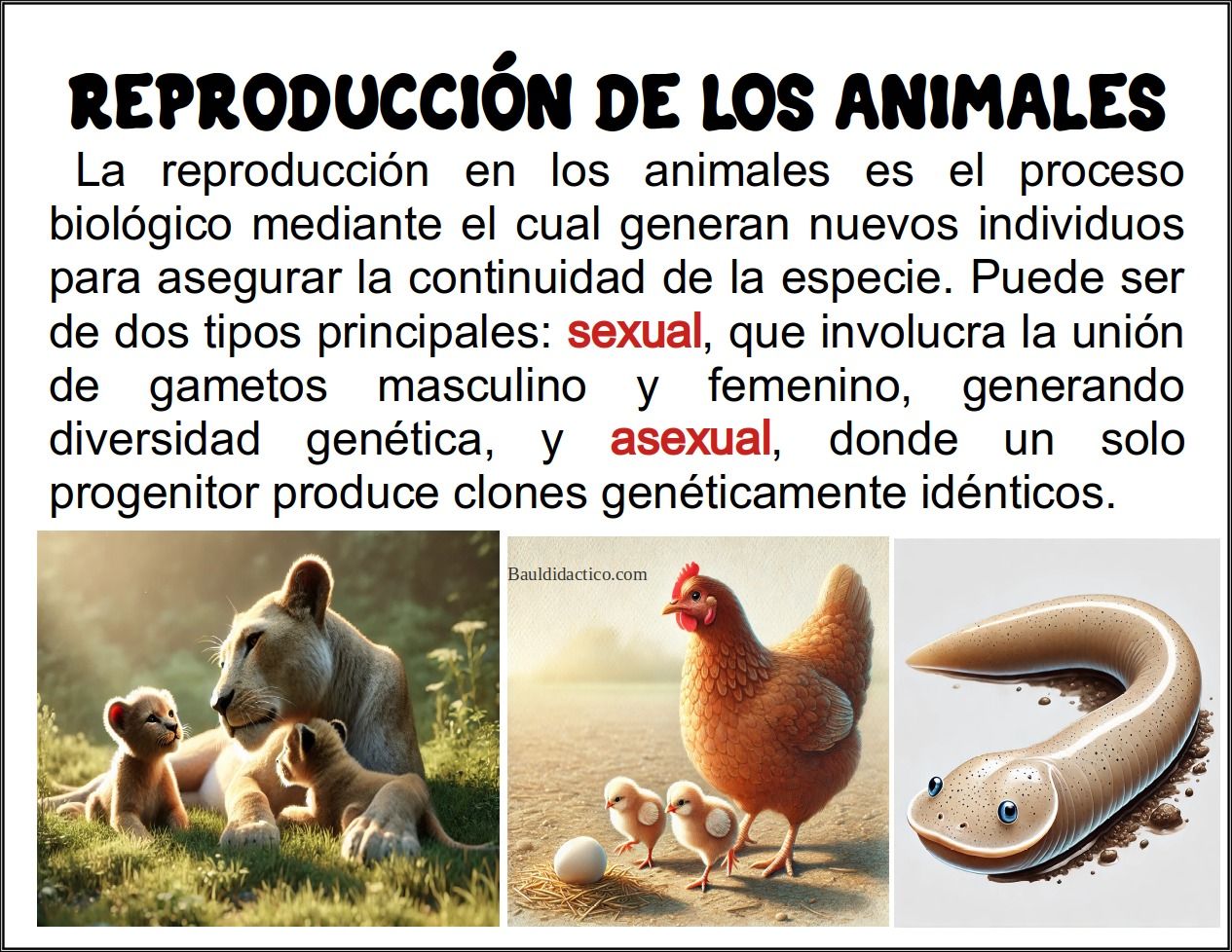 Reproducción de los animales