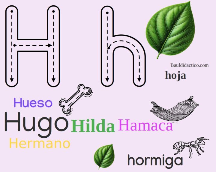 Letra H