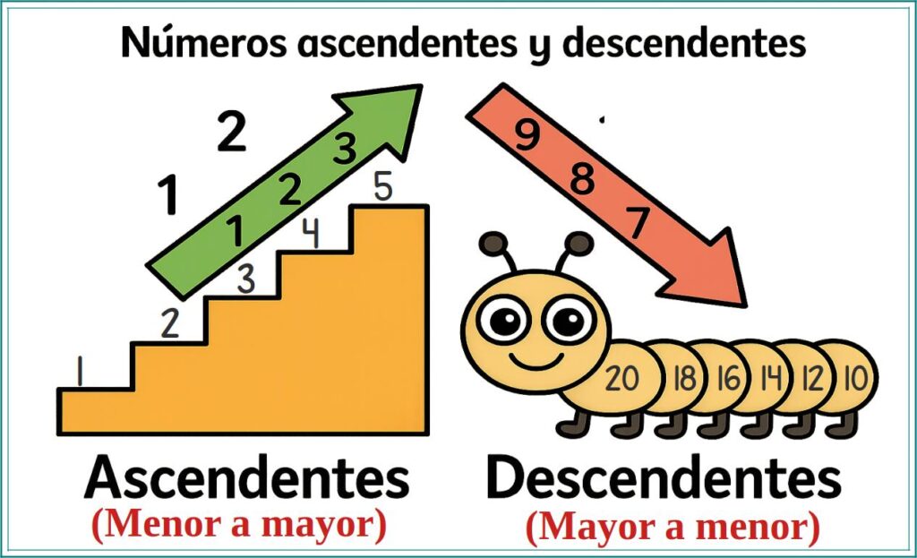 Número ascendente y descendente