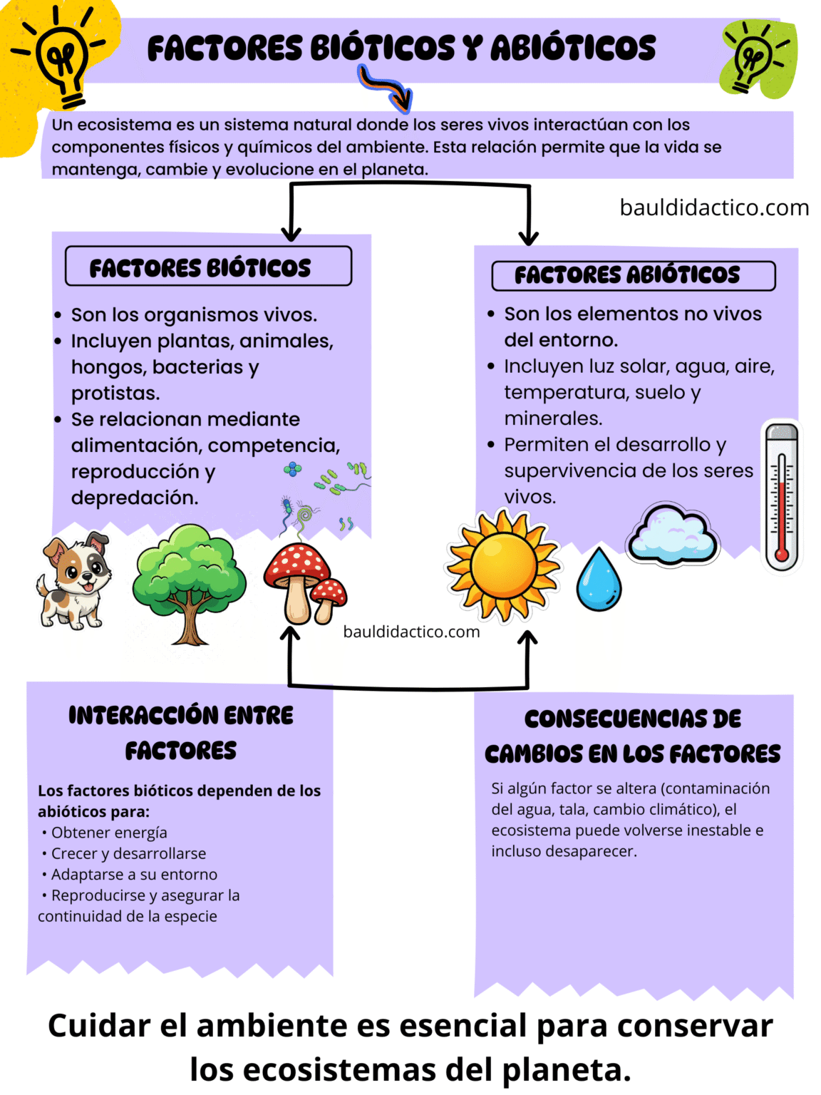 Factores bióticos y abióticos - Baúl Didáctico
