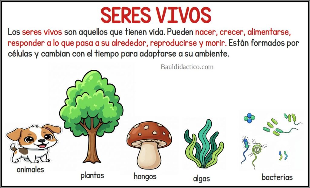 Seres vivos