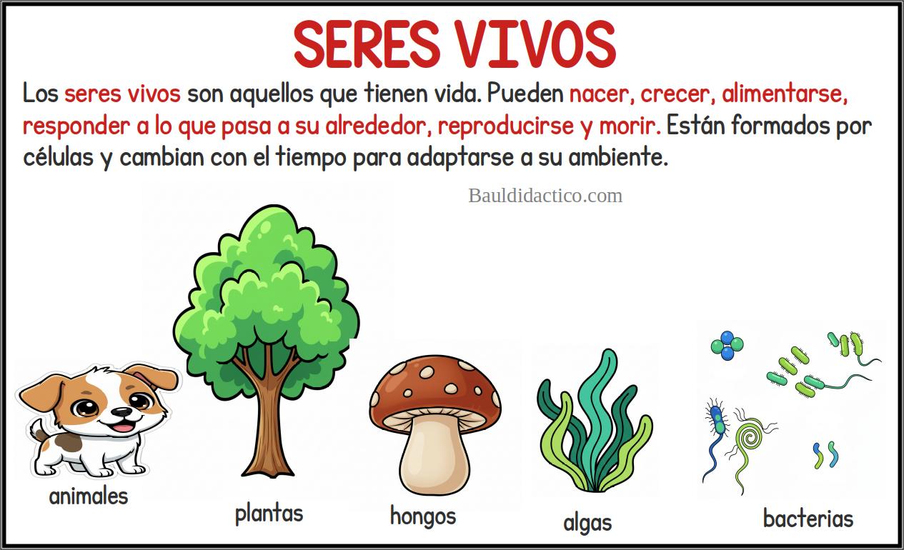 Seres vivos