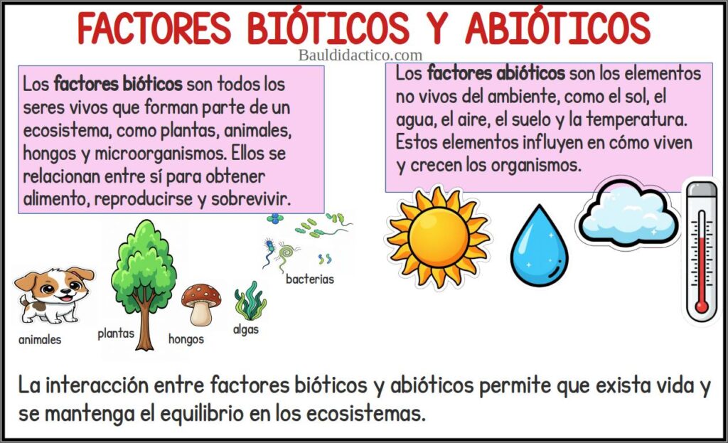 FACTORES BIÓTICOS Y ABIÓTICOS