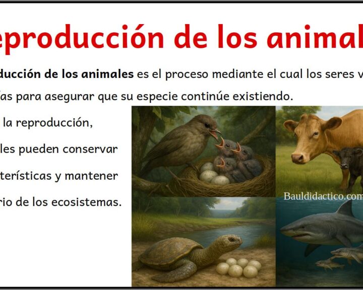 Reproducción de los animales