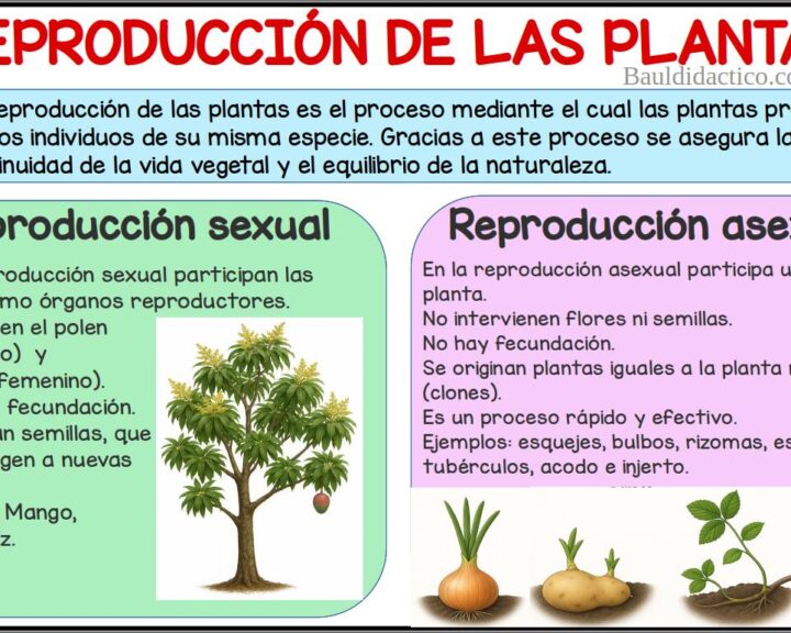 Reproducción de plantas