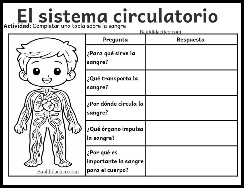 PROYECTOS DE AULA ¡Una bomba en mi cuerpo!