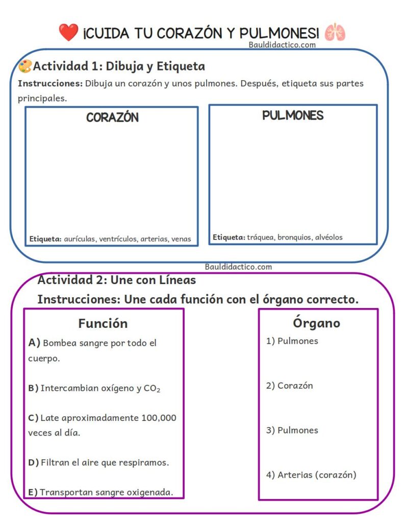 PROYECTOS DE AULA ¡Una bomba en mi cuerpo!
