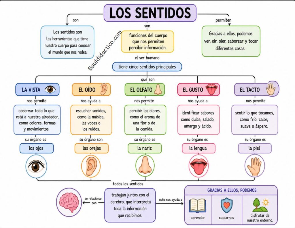 Mapa conceptual sobre textos discontinuos con ideas principales y secundarias