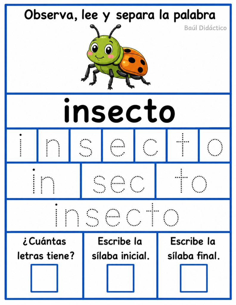 Letra I: Observa, lee y separa la palabra