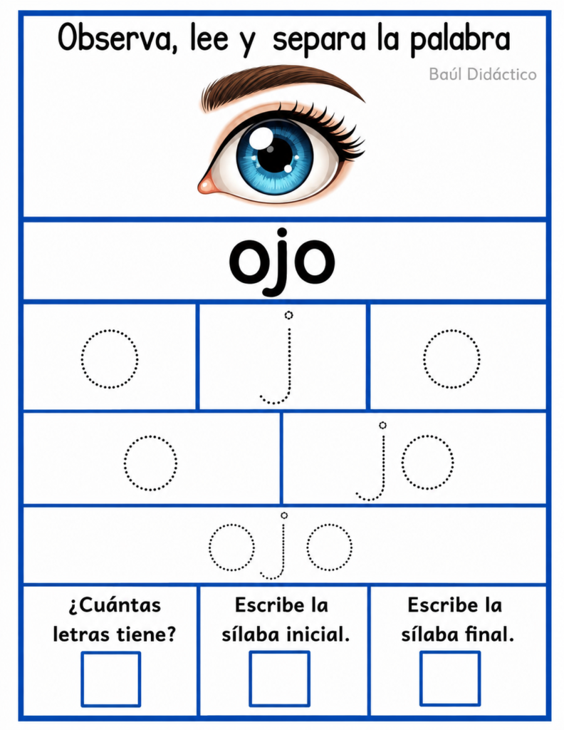 Letra O: Observa, lee y separa la palabra
