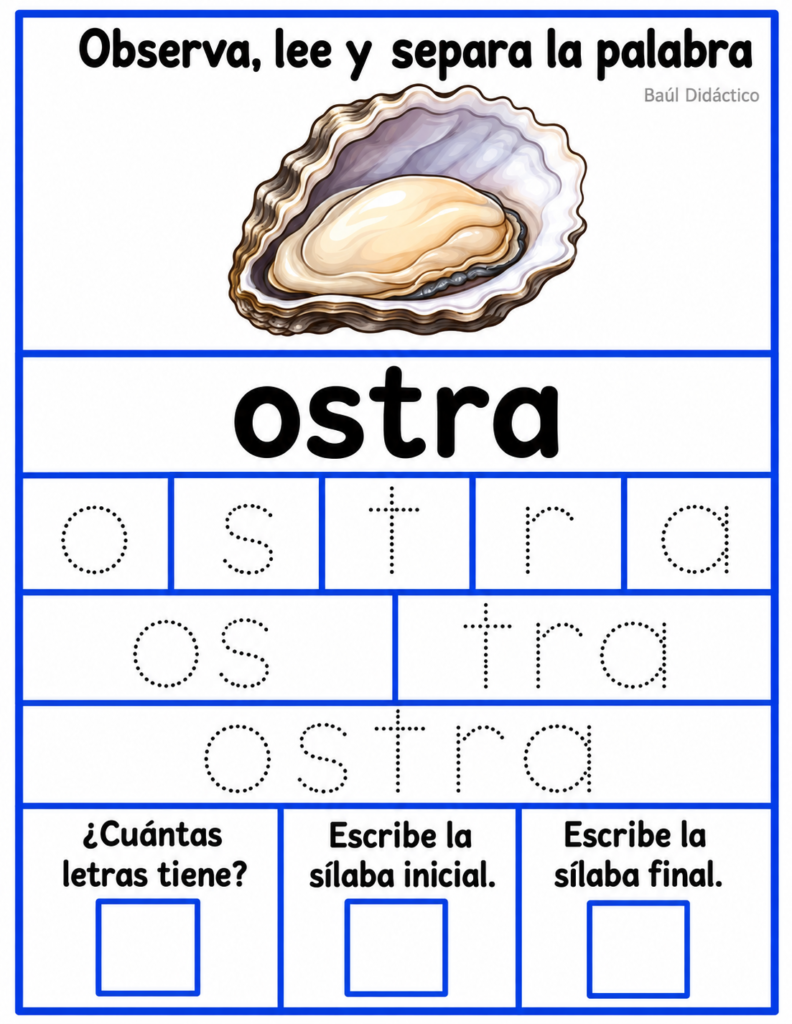 Letra O: Observa, lee y separa la palabra