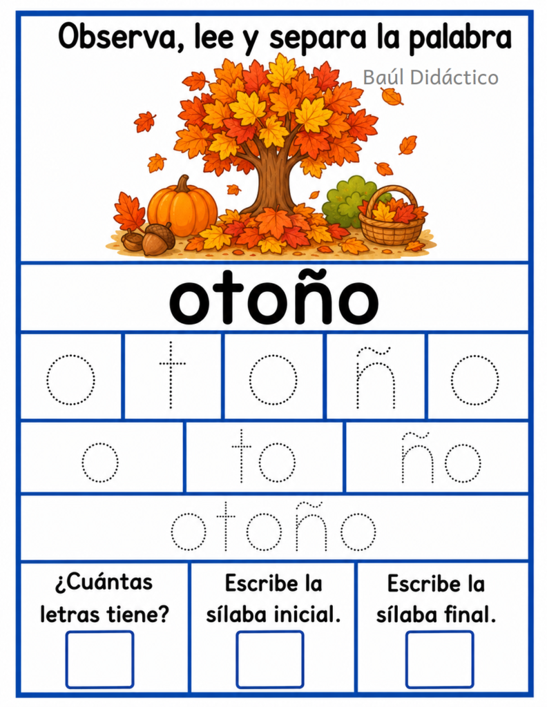 Letra O: Observa, lee y separa la palabra