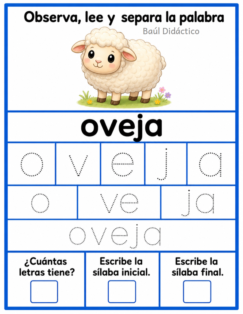 Letra O: Observa, lee y separa la palabra
